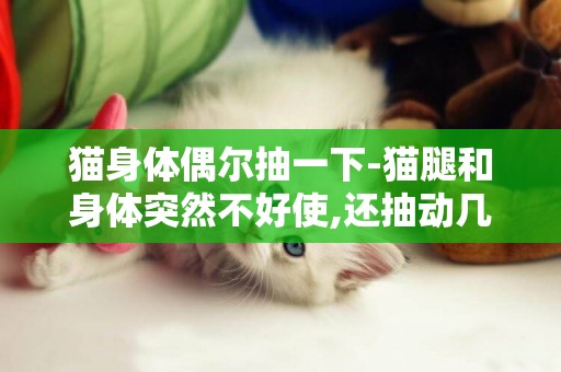 貓身體偶爾抽一下-貓腿和身體突然不好使,還抽動幾下,怎么回事