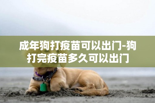 成年狗打疫苗可以出門-狗打完疫苗多久可以出門