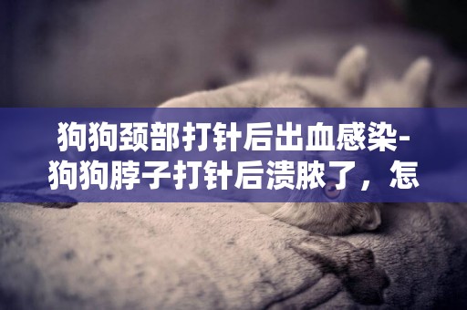 狗狗頸部打針后出血感染-狗狗脖子打針后潰膿了，怎么辦