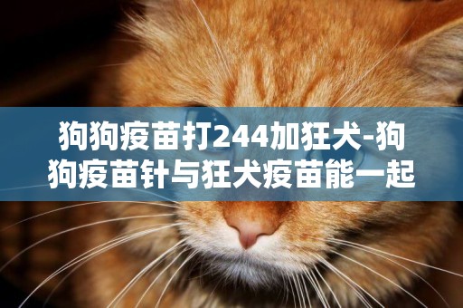 狗狗疫苗打244加狂犬-狗狗疫苗針與狂犬疫苗能一起打嗎