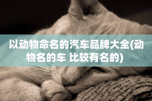 以動物命名的汽車品牌大全(動物名的車 比較有名的) 