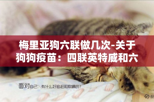 梅里亞狗六聯做幾次-關于狗狗疫苗：四聯英特威和六聯梅里亞