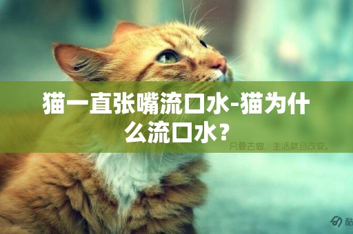 貓一直張嘴流口水-貓為什么流口水？