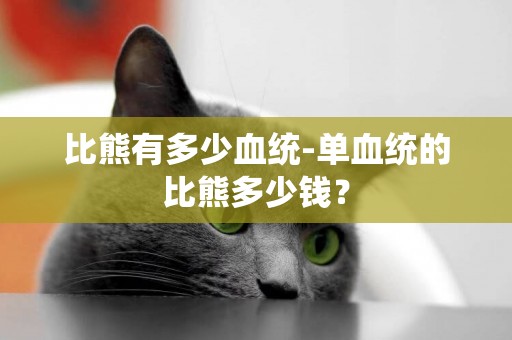 比熊有多少血統-單血統的比熊多少錢？