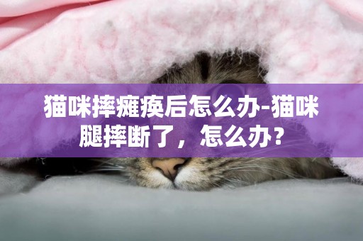 貓咪摔癱瘓后怎么辦-貓咪腿摔斷了，怎么辦？