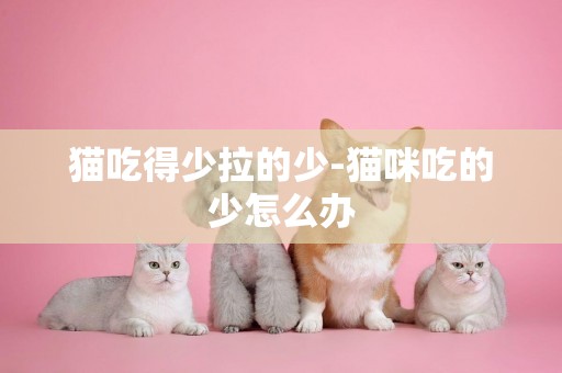 貓吃得少拉的少-貓咪吃的少怎么辦
