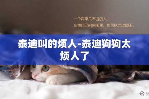 泰迪叫的煩人-泰迪狗狗太煩人了