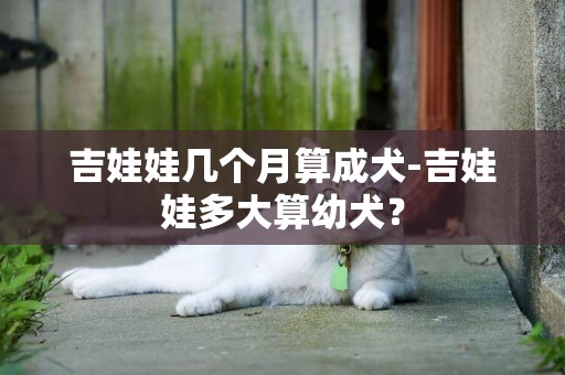 吉娃娃幾個月算成犬-吉娃娃多大算幼犬？