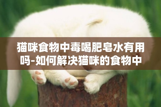 貓咪食物中毒喝肥皂水有用嗎-如何解決貓咪的食物中毒