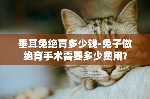 垂耳兔絕育多少錢-兔子做絕育手術需要多少費用?