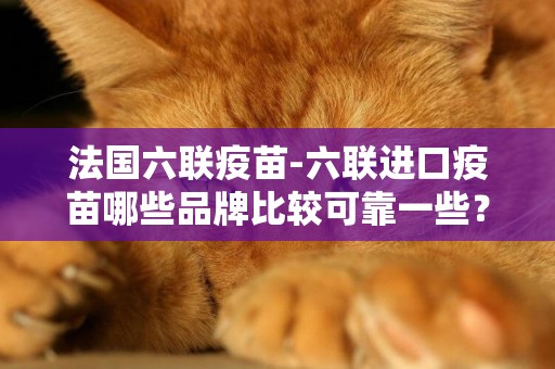 法國六聯疫苗-六聯進口疫苗哪些品牌比較可靠一些？