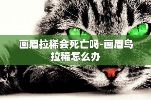 畫眉拉稀會死亡嗎-畫眉鳥拉稀怎么辦