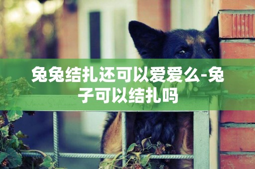 兔兔結扎還可以愛愛么-兔子可以結扎嗎