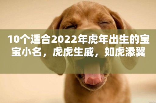 10個適合2022年虎年出生的寶寶小名，虎虎生威，如虎添翼 