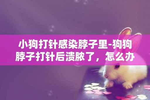 小狗打針感染脖子里-狗狗脖子打針后潰膿了，怎么辦
