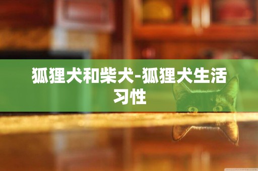 狐貍犬和柴犬-狐貍犬生活習性