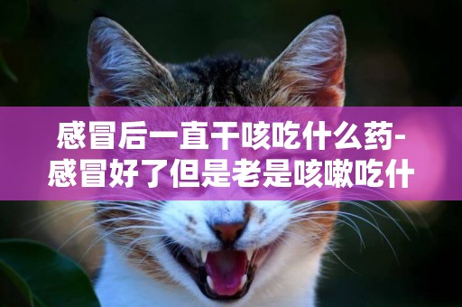 感冒后一直干咳吃什么藥-感冒好了但是老是咳嗽吃什么藥