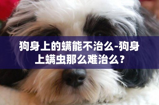 狗身上的螨能不治么-狗身上螨蟲那么難治么？