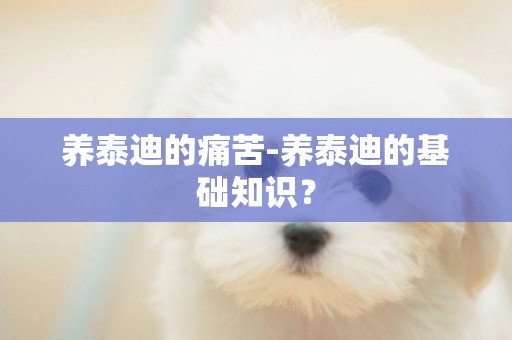 養泰迪的痛苦-養泰迪的基礎知識？