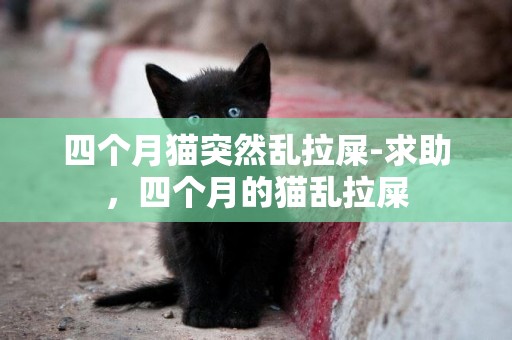 四個月貓突然亂拉屎-求助，四個月的貓亂拉屎
