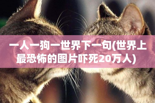 一人一狗一世界下一句(世界上最恐怖的圖片嚇死20萬人) 