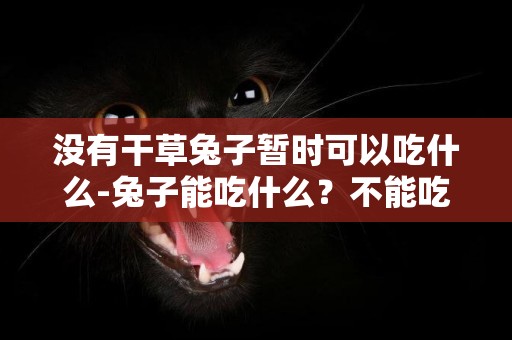 沒有干草兔子暫時可以吃什么-兔子能吃什么？不能吃什么？