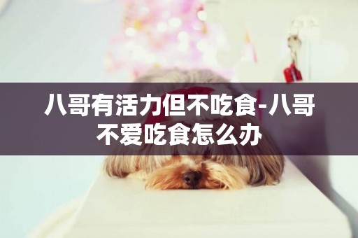 八哥有活力但不吃食-八哥不愛吃食怎么辦
