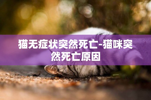 貓無癥狀突然死亡-貓咪突然死亡原因
