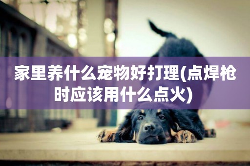 家里養什么寵物好打理(點焊槍時應該用什么點火) 