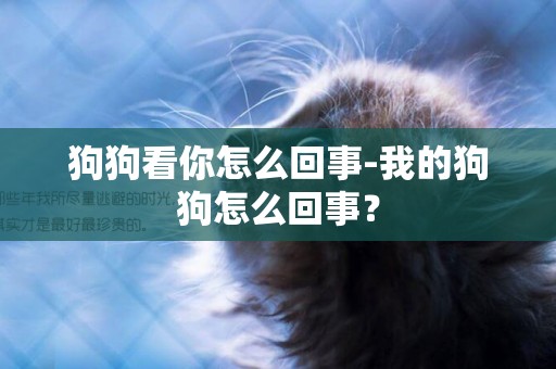 狗狗看你怎么回事-我的狗狗怎么回事？