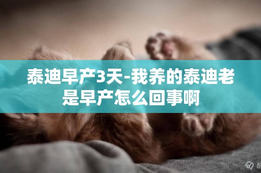 泰迪早產3天-我養的泰迪老是早產怎么回事啊