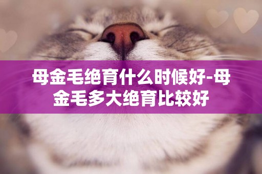 母金毛絕育什么時候好-母金毛多大絕育比較好