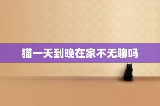貓一天到晚在家不無聊嗎