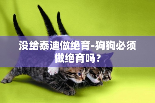 沒給泰迪做絕育-狗狗必須做絕育嗎？