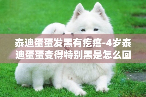 泰迪蛋蛋發黑有疙瘩-4歲泰迪蛋蛋變得特別黑是怎么回事？