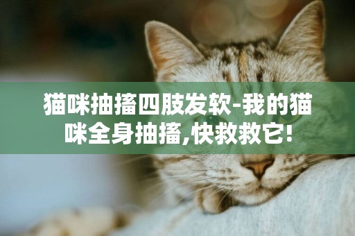 貓咪抽搐四肢發軟-我的貓咪全身抽搐,快救救它!