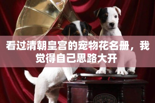 看過清朝皇宮的寵物花名冊，我覺得自己思路大開 
