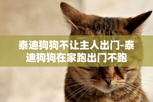 泰迪狗狗不讓主人出門-泰迪狗狗在家跑出門不跑