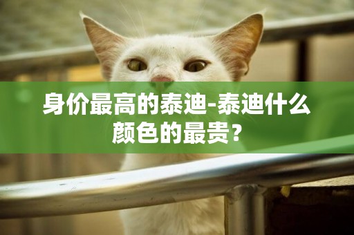 身價最高的泰迪-泰迪什么顏色的最貴？