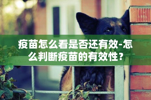 疫苗怎么看是否還有效-怎么判斷疫苗的有效性？
