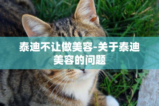 泰迪不讓做美容-關于泰迪美容的問題