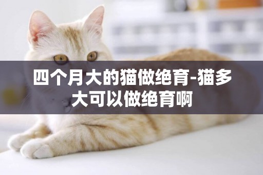 四個月大的貓做絕育-貓多大可以做絕育啊