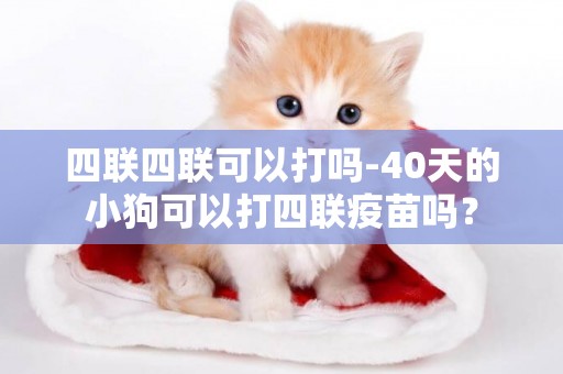 四聯四聯可以打嗎-40天的小狗可以打四聯疫苗嗎？