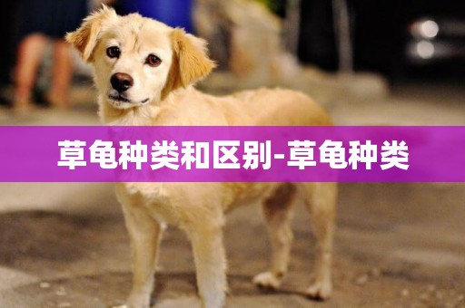 草龜種類和區別-草龜種類