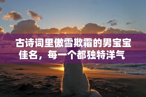 古詩詞里傲雪欺霜的男寶寶佳名，每一個都獨特洋氣 