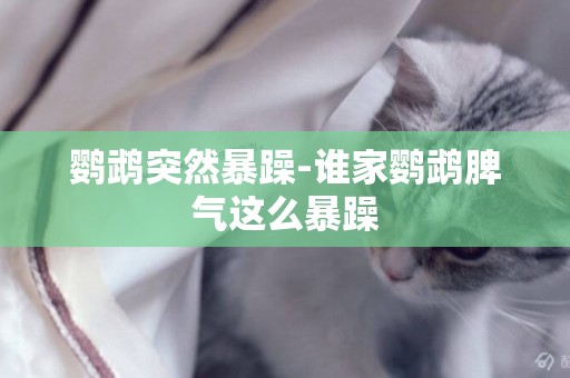 鸚鵡突然暴躁-誰家鸚鵡脾氣這么暴躁