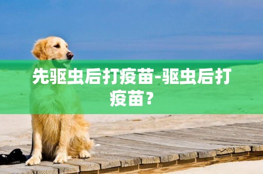 先驅蟲后打疫苗-驅蟲后打疫苗？