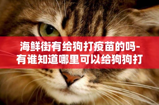 海鮮街有給狗打疫苗的嗎-有誰知道哪里可以給狗狗打疫苗