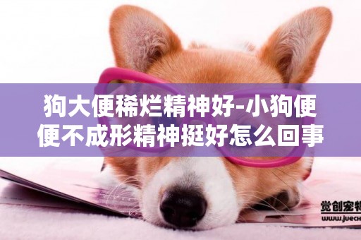 狗大便稀爛精神好-小狗便便不成形精神挺好怎么回事？
