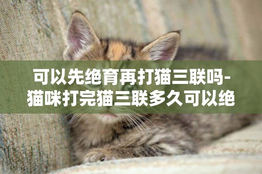 可以先絕育再打貓三聯嗎-貓咪打完貓三聯多久可以絕育
